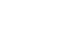 Logotipo WhatsApp Blanco